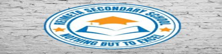 Reimeta School Logo